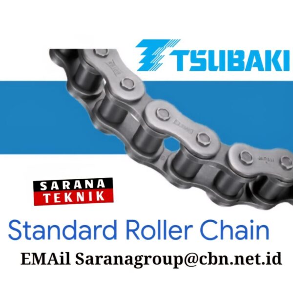 Standard Roller Chain